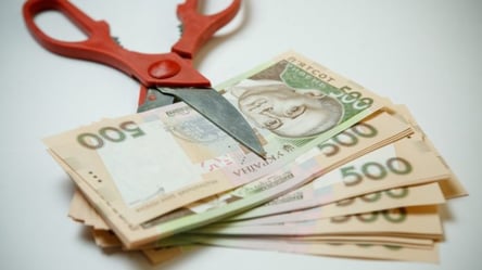 Украина резко сократила бюджетные расходы за месяц - 285x160