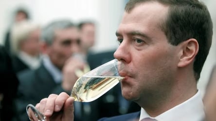 Алкоголик Медведев истерически отреагировал на предложение Эстонии отменить визы для россиян в ЕС - 285x160