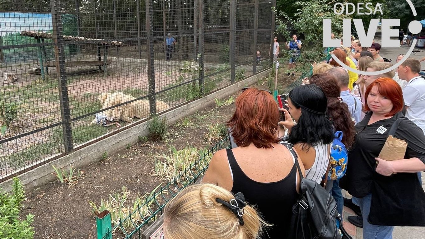 Пузырьки, викторины и кормление львов: в Одесском зоопарке отметили День молодежи