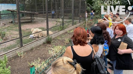 Бульбашки, вікторини та годування левів: в Одеському зоопарку відзначили День молоді - 285x160