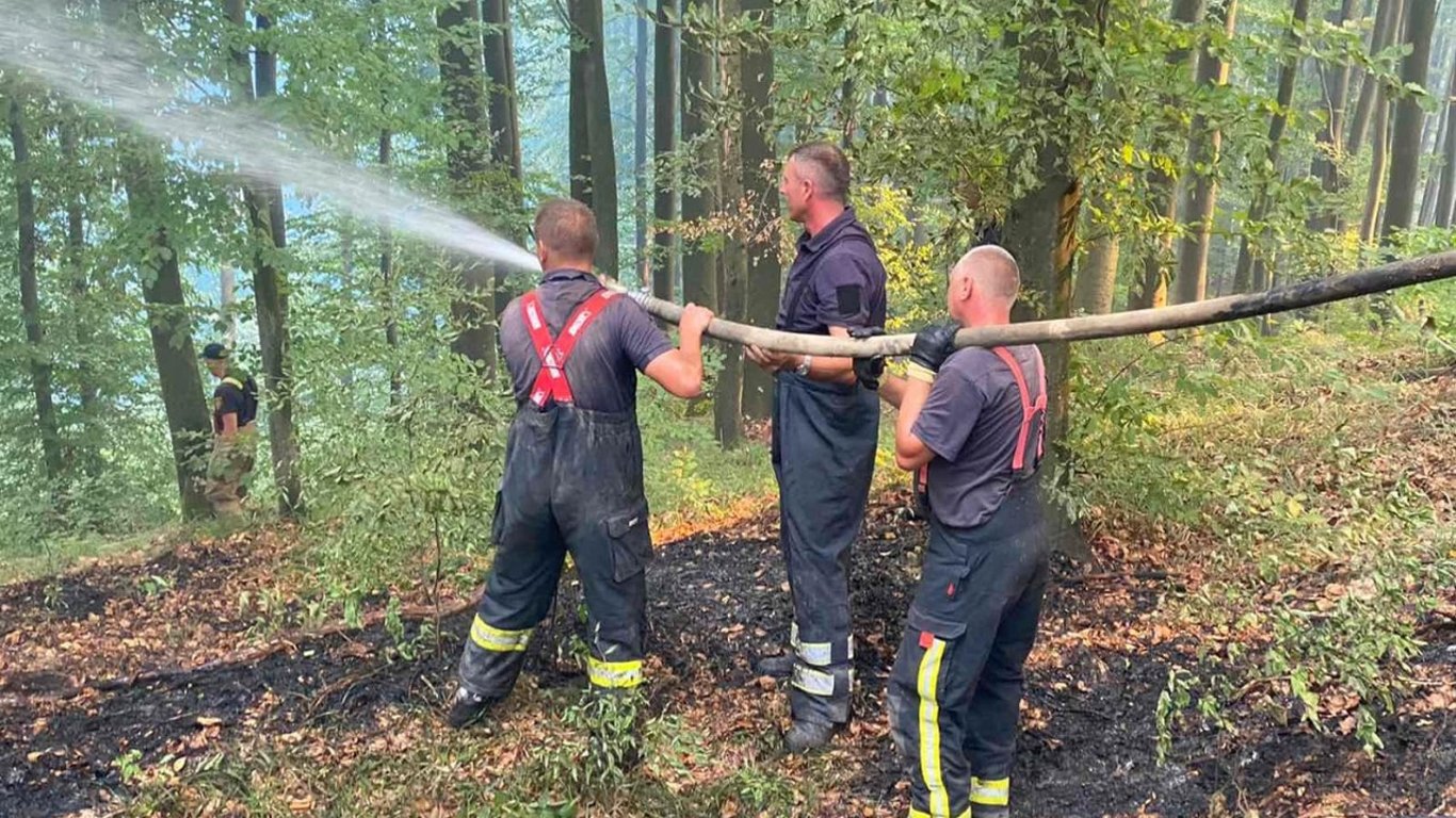 На Закарпатье уже второй день горят леса: к тушению пожара привлекли более двухсот спасателей