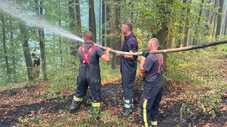 На Закарпатті вже другий день горять ліси: до гасіння пожежі залучили понад дві сотні рятувальників - 285x160
