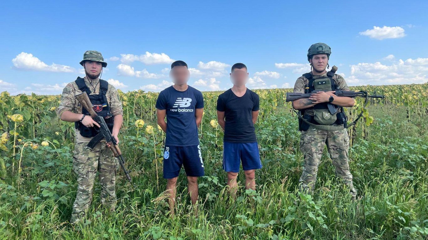 Прятались в подсолнухах: в Одесской области пытались незаконно пересечь границу полем