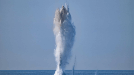 В Одесской области уничтожили морскую мину: как это было (видео) - 285x160