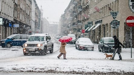 Какая будет зима в Украине: климатолог рассказала об изменениях погоды - 285x160