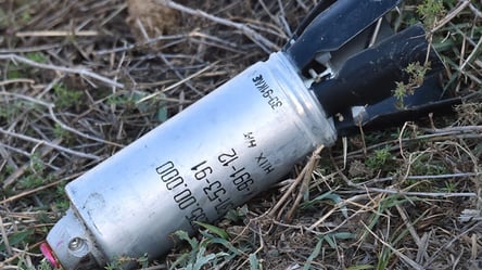 В Днепропетровской области из-за взрыва кассетного боеприпаса погиб 17-летний парень - 285x160