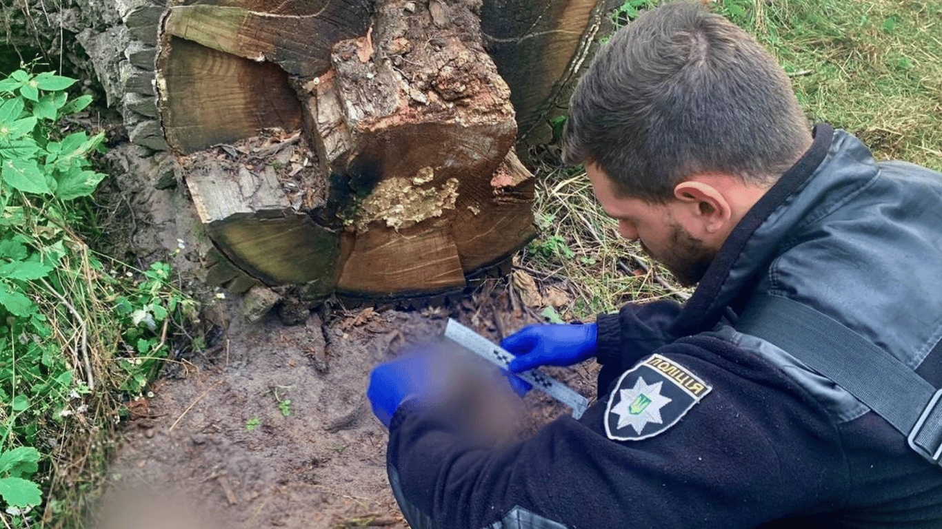 В Бучанському районі знайшли останки закатованої людини