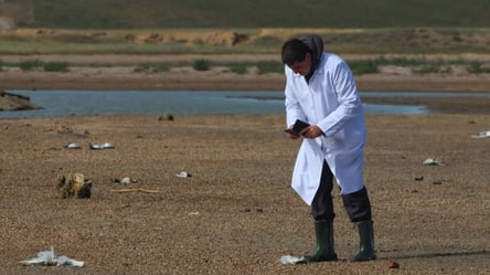 На двух лиманах Одесчины зафиксировали массовую гибель птиц - 285x160