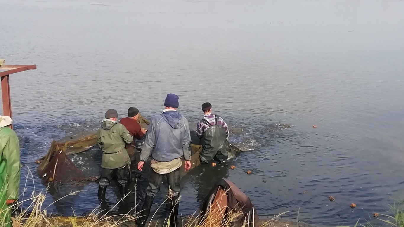 Экологическая катастрофа в Днестровском лимане: есть риск остаться без рыбы