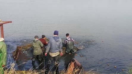 Экологическая катастрофа в Днестровском лимане: есть риск остаться без рыбы - 285x160