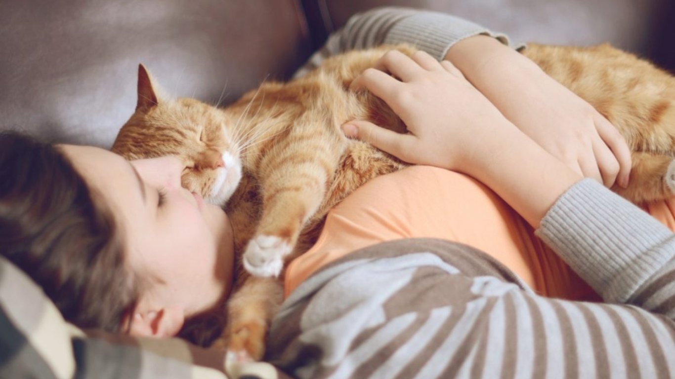 Коти лягають на хворе місце у людини — стало відомо чому