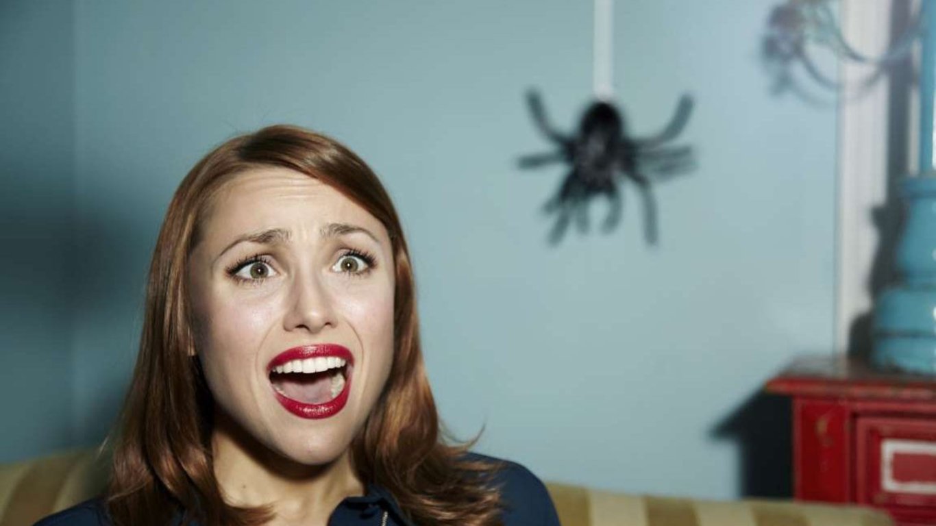 Де павуки люблять ховатися у будинку та як їх позбутися — поради фахівців