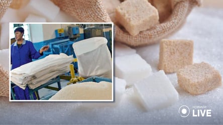 Чи буде в Україні дефіцит солі та цукру: аграрії зробили заяву - 285x160