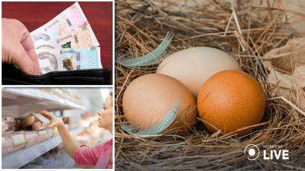 В магазинах подорожали яйца: цены в сентябре - 285x160