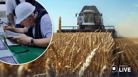 Як подальша ескалація війни з боку рф підвищує ціни на пшеницю в Одеській області - 285x160