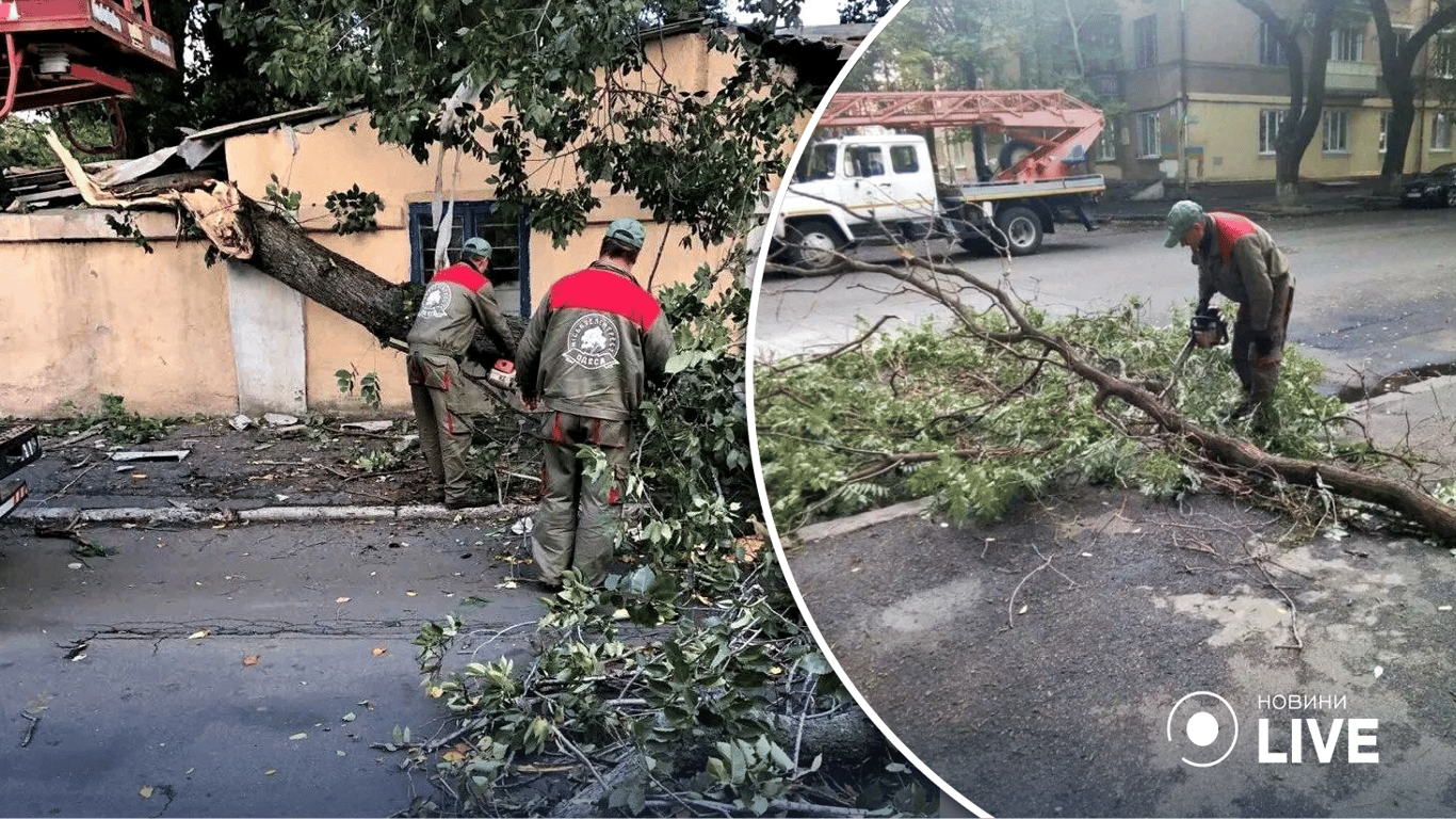 Непогода в Одессе: порывистый ветер устроил в городе настоящий древопад
