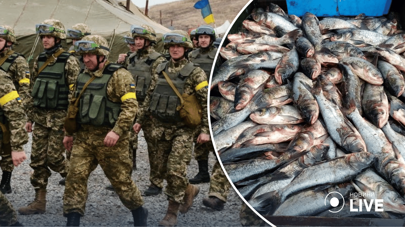 Рыбный день на фронте: жители Одесской области передали ВСУ более полутысячи консервов