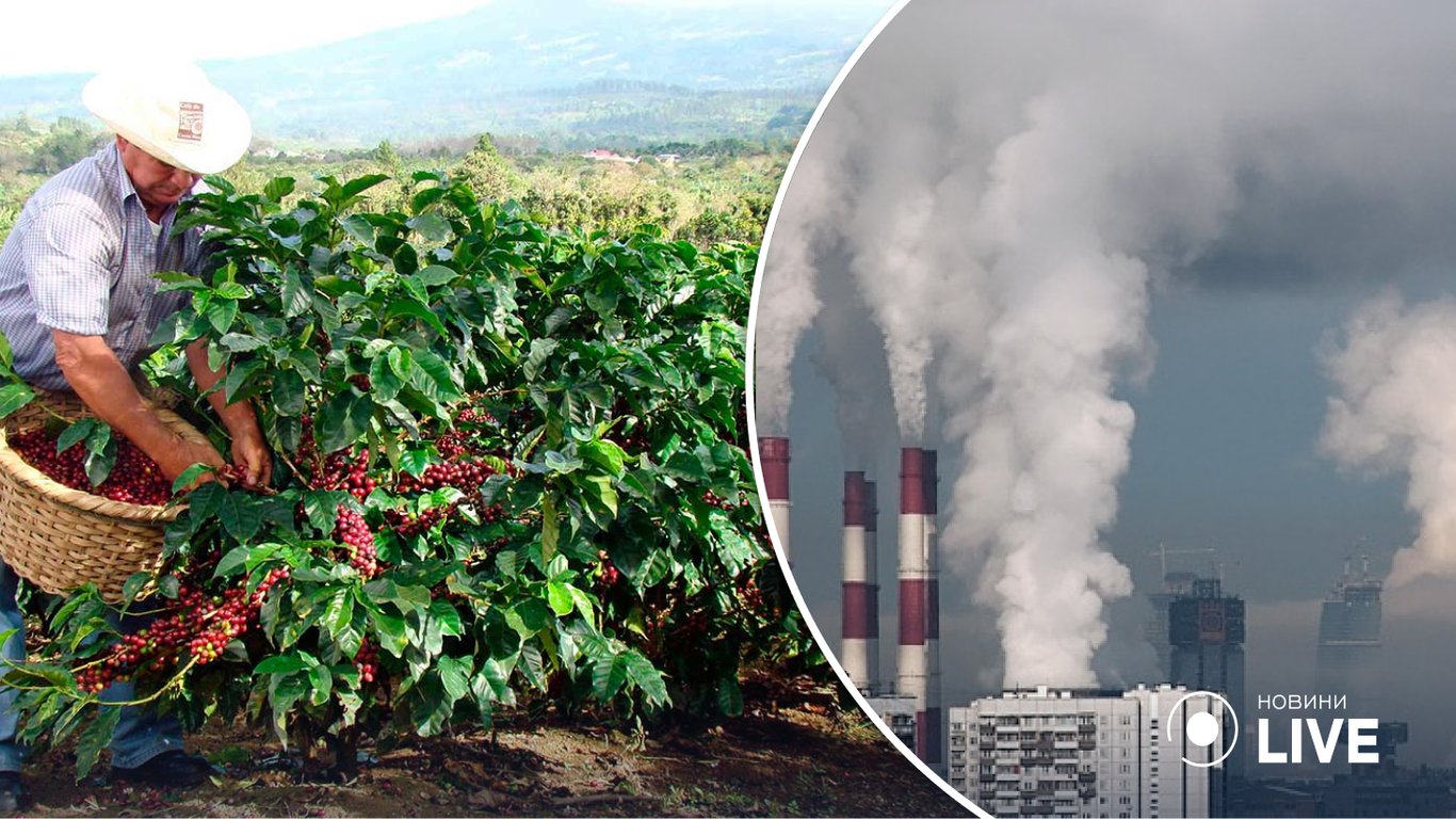 Nestle виділила мільярд доларів для захисту плантацій кави від кліматичної катастрофи