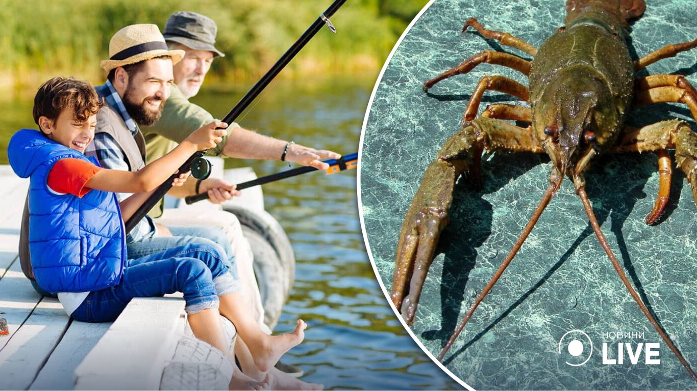 На Дунаї дозволили ловити раків: коли можна розпочинати рибалити