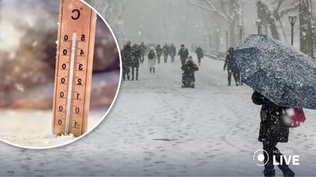 Перепади температури й дощі: синоптик розповів, якою буде зима в Україні та Європі - 285x160