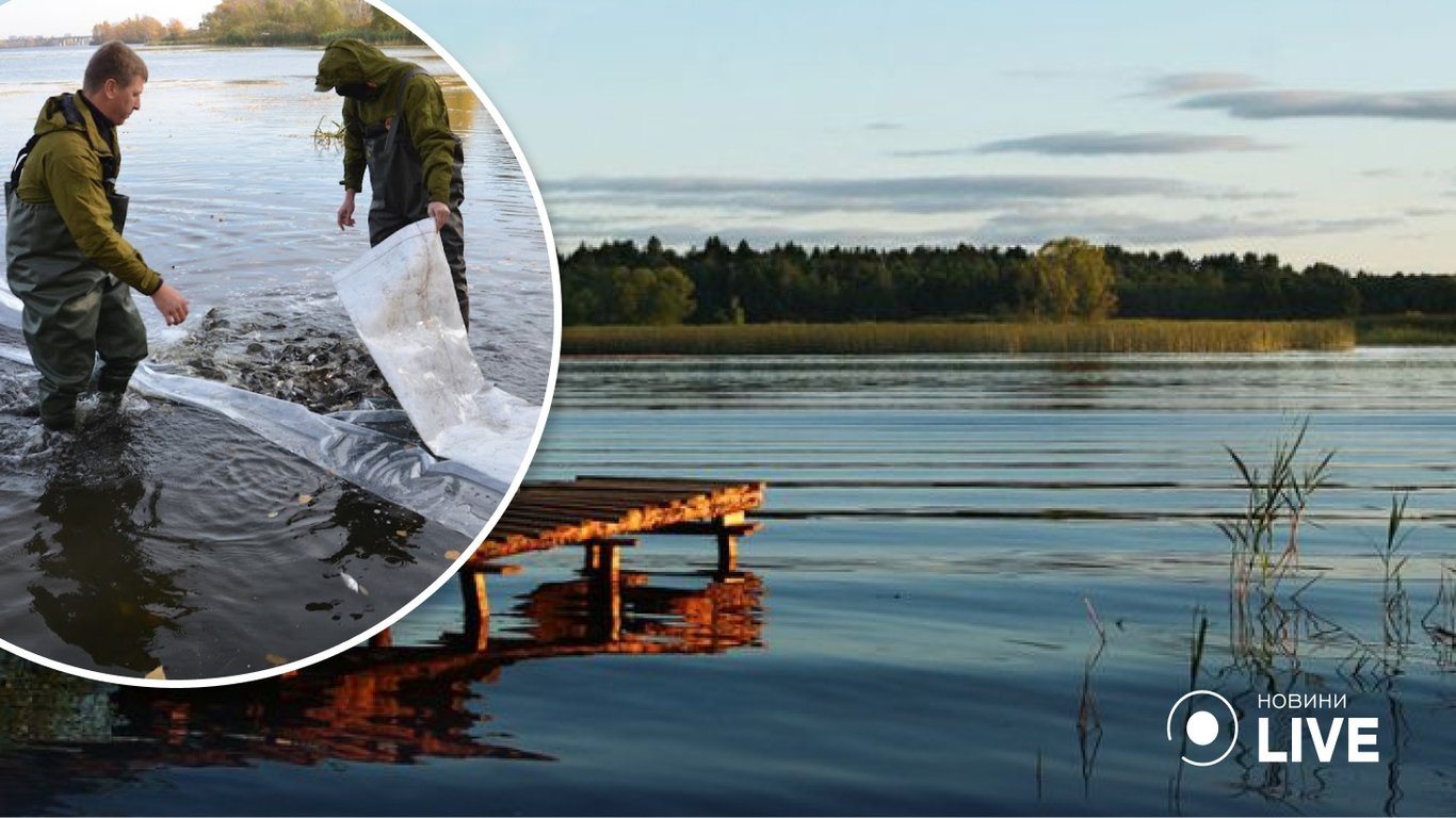 На Одещині в озера почали заселяти рибу: що це дасть