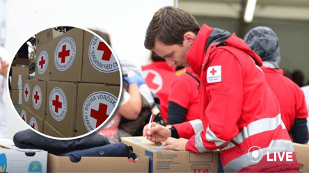 Красный Крест приостанавливает работу в Украине: какая причина - 285x160