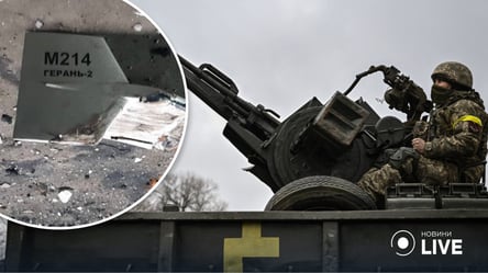 На юге страны украинские бойцы "приземлили" девять дронов-камикадзе - 285x160