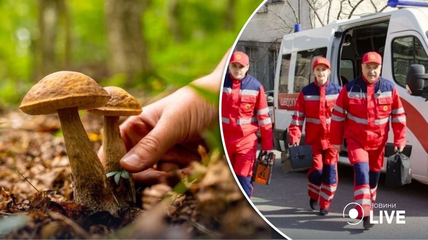 На Одещині побільшала кількість отруєнь  дикорослими грибами: як вберегтися