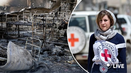 Красный Крест готов посетить Еленовку, но есть условие - 285x160