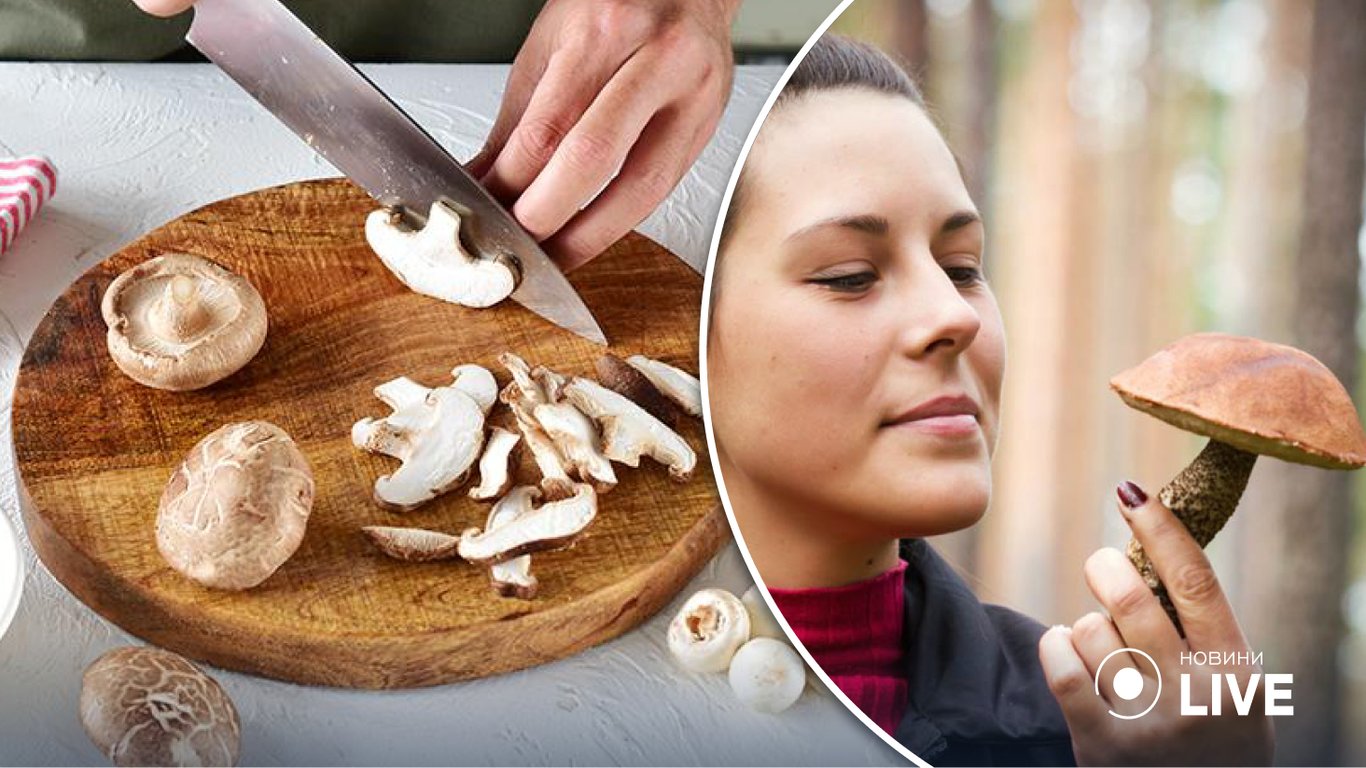 Скільки їсти грибів, щоб отримати добову норму вітаміну D — дослідження вчених