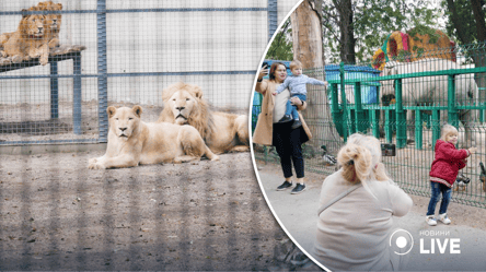 Казак, Мико и Победа: в Одесском зоопарке выбирают имена для новорожденных жителей - 285x160