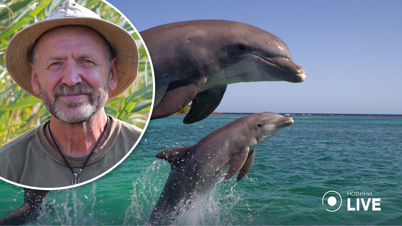 В нацпарке "Тузловские лиманы" нашли мертвого дельфина