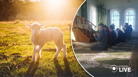 В россии принесли в жертву овец, чтобы вымолить благополучие для оккупантов на войне против Украины - 285x160