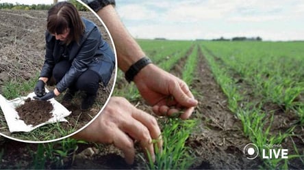 В Одесской области проводят осенние раскопки почвы: каких вредителей урожая нашли - 285x160