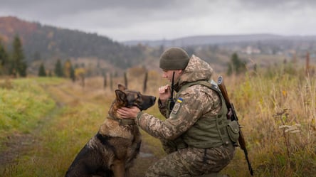 Кількість спроб втечі за кордон різко впала — ДПСУ пояснили чому - 290x160