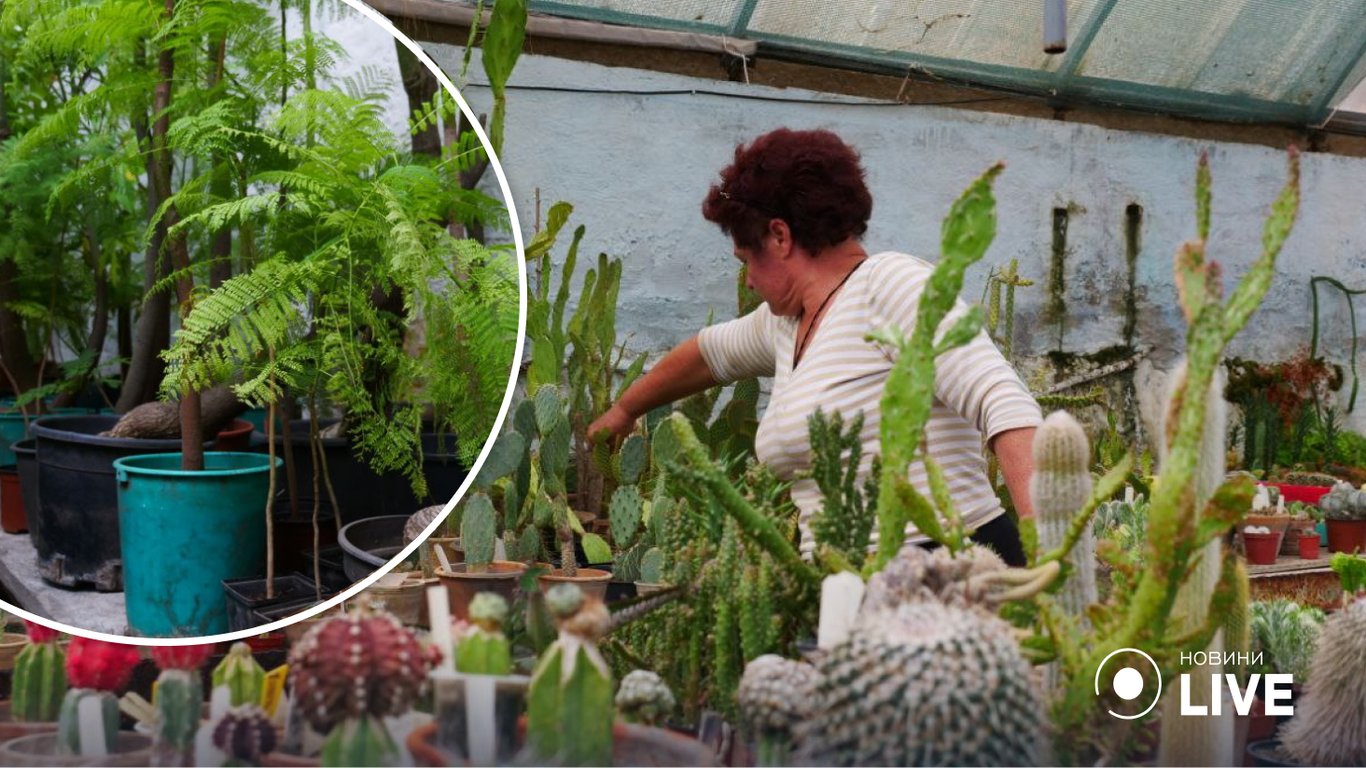 Одеський Ботанічний сад просить про допомогу та пропонує придбати саджанці дерев та кущів