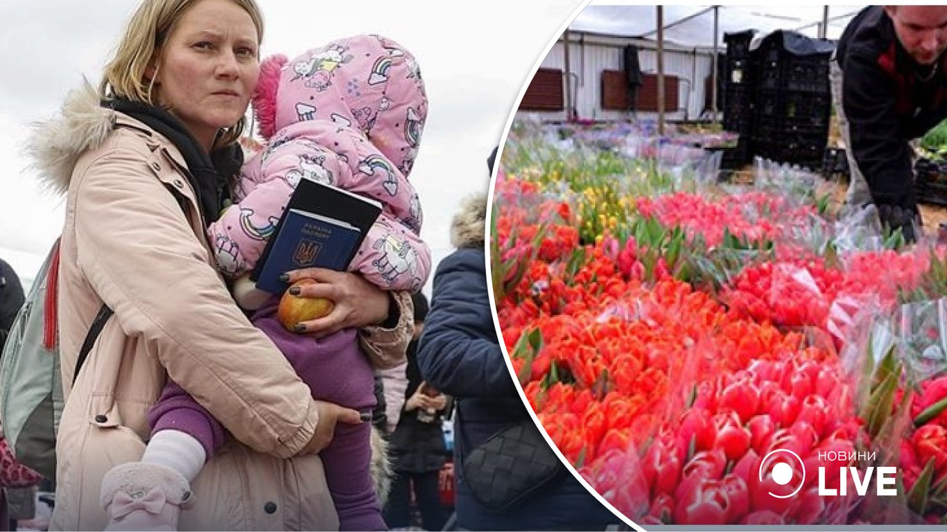 Нидерланды поменяют правила для украинских беженцев: детали