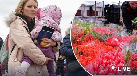 Нідерланди змінять правила для українських біженців: деталі - 285x160