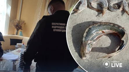 На Одещині "бізнесмени" незаконно продавали червонокнижну рибу - 285x160