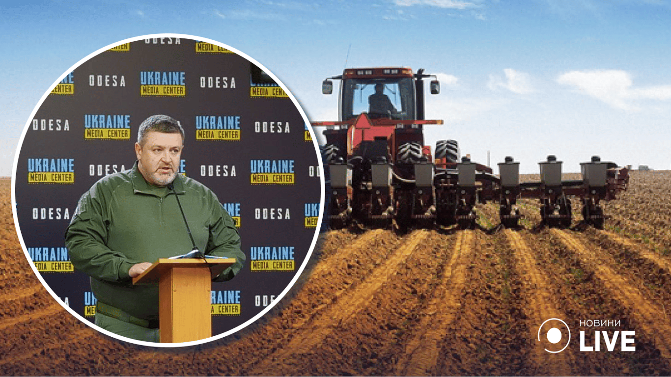 В Одессе погибает урожай, который должны отправить в рамках Зерновой инициативы