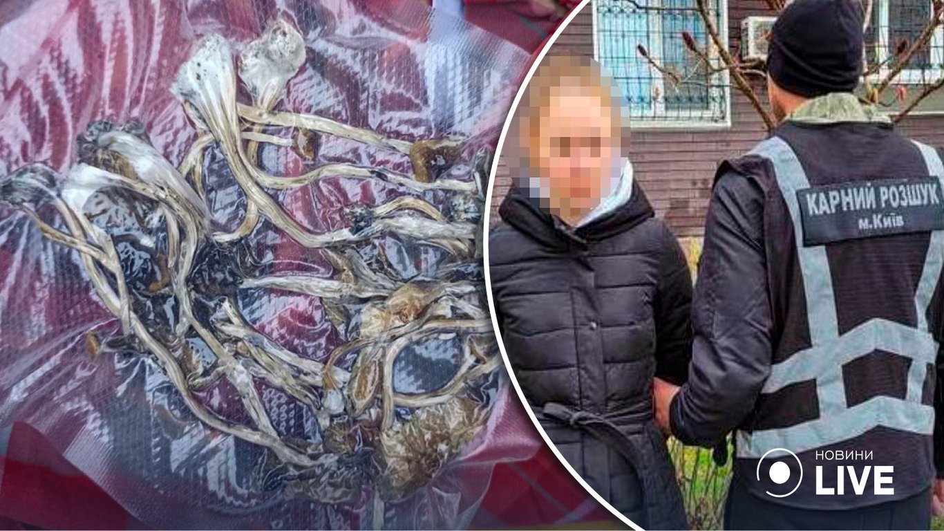 В Киеве задержали женщину с галлюциногенными грибами