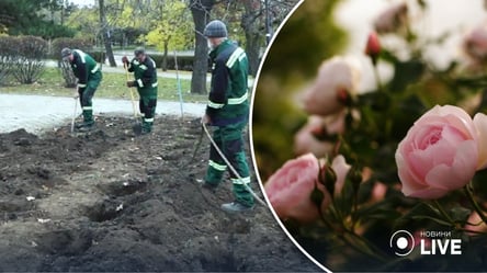 Квітучий Миколаїв: одеські бізнесмени подарували місту 500 саджанців троянд - 285x160