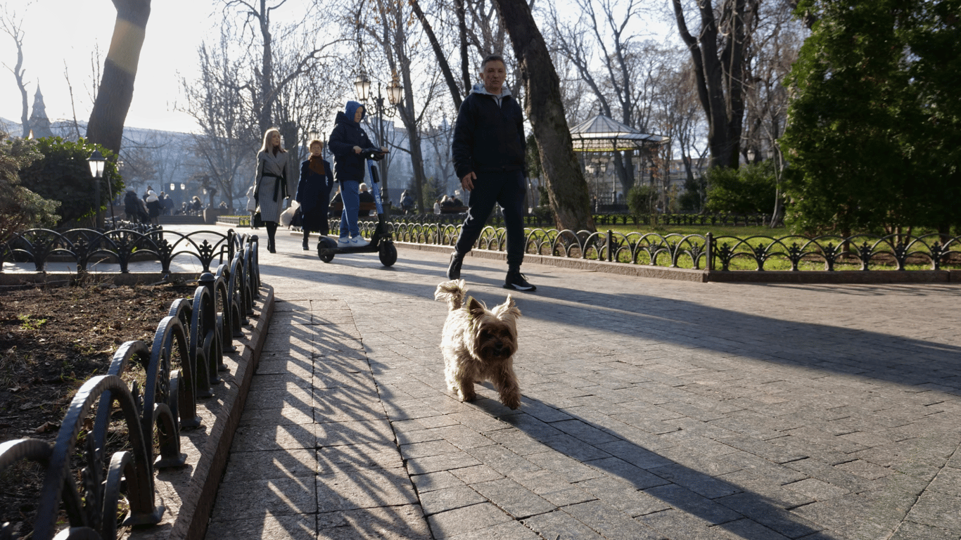 Погода в Одесі завтра: похмуро, +12°C, без опадів