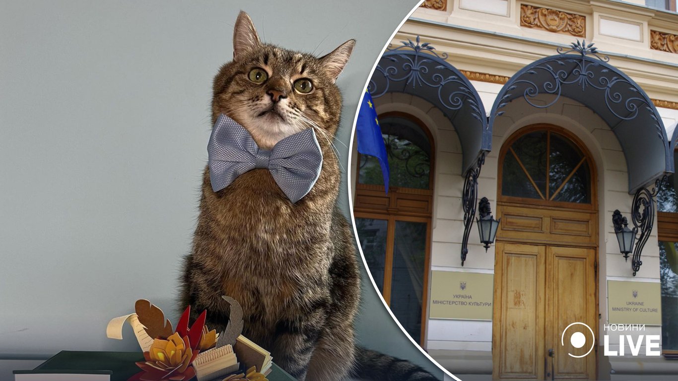 Кіт Степан став амбасадором проєкту Мінкульту