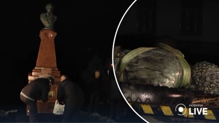 В Житомире снесли памятник Пушкину - 285x160
