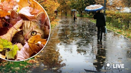 Краще готувати парасольки: якою буде погода в Одесі 12 листопада - 285x160