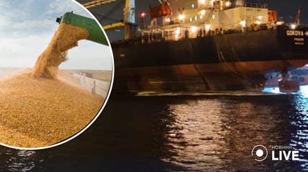 Из портов Большой Одессы экспортируют зерно: в правительстве рассказали подробности - 285x160