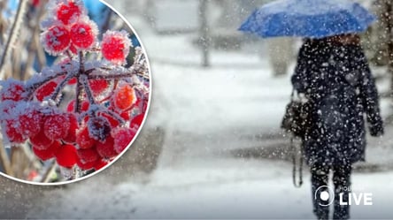 Снег и похолодание: народный синоптик удивила прогнозом погоды на неделю - 285x160