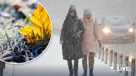Мокрый снег с дождями: народный синоптик рассказала про погоду на среду - 285x160