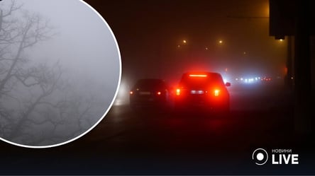 Включайте фары: водителей Одесской области предупреждают об ухудшении видимости на дорогах - 285x160
